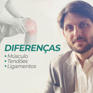 Entendendo as Diferenças Entre Músculos, Tendões e Ligamentos